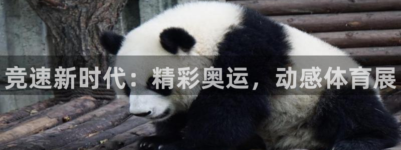 678体育官网下载：竞速新时代：精彩奥运，动感体育展