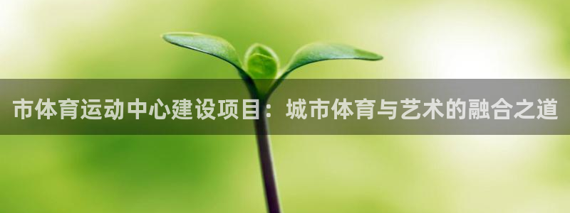 678体育：市体育运动中心建设项目：城市体育与艺术的融合之道