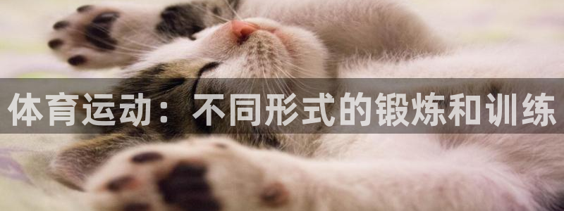 678体育知识：体育运动：不同形式的锻炼和训练