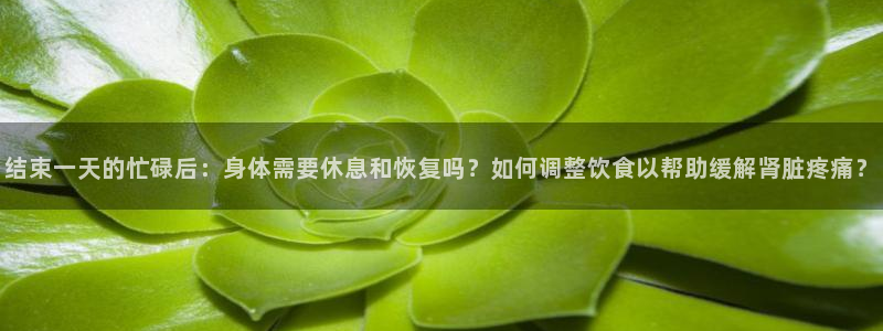 678体育官网下载：结束一天的忙碌后：身体需要休息和恢复吗？如何调整饮食以帮助缓解肾脏疼痛？