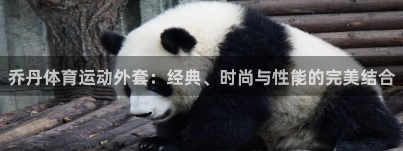 678体育官网：乔丹体育运动外套：经典、时尚与性能的完美结合
