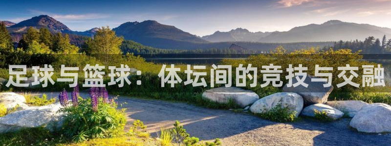 678体育官网地址：足球与篮球：体坛间的竞技与交融