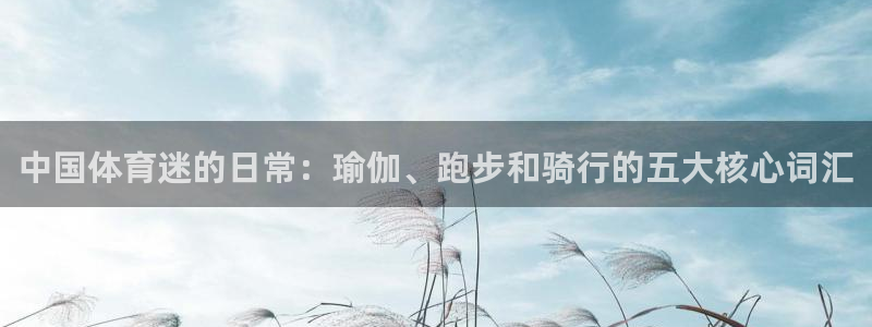 678体育app：中国体育迷的日常：瑜伽、跑步和骑行的五大核心词汇