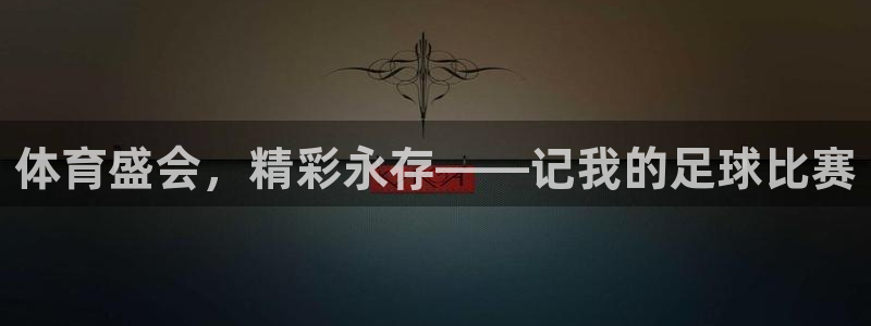 678体育官网下载：体育盛会，精彩永存——记我的足球比赛