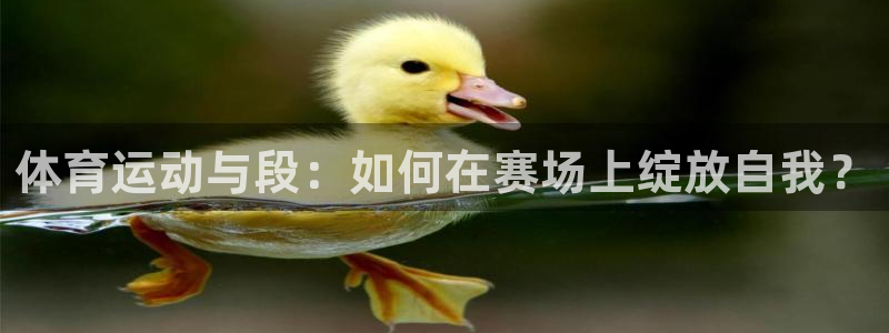 678体育：体育运动与段：如何在赛场上绽放自我？