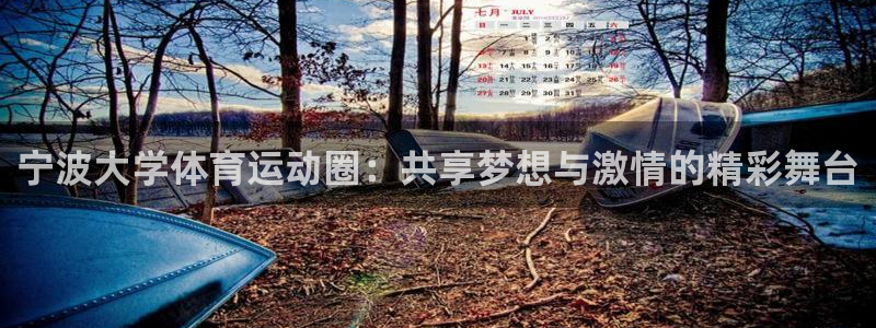 皇冠678体育：宁波大学体育运动圈：共享梦想与激情的精彩舞台