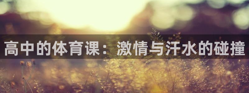 678体育官网下载：高中的体育课：激情与汗水的碰撞