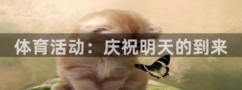 678体育官网：体育活动：庆祝明天的到来