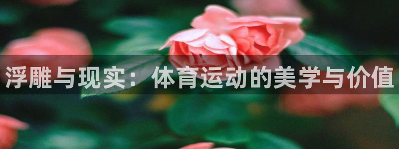 678体育app：浮雕与现实：体育运动的美学与价值